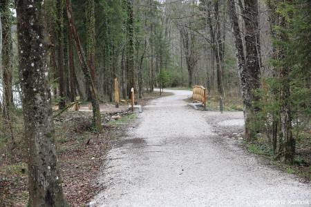 Z zasaditvijo dreves smo uradno odprli kolesarsko povezavo Kamnik–Godič (72)